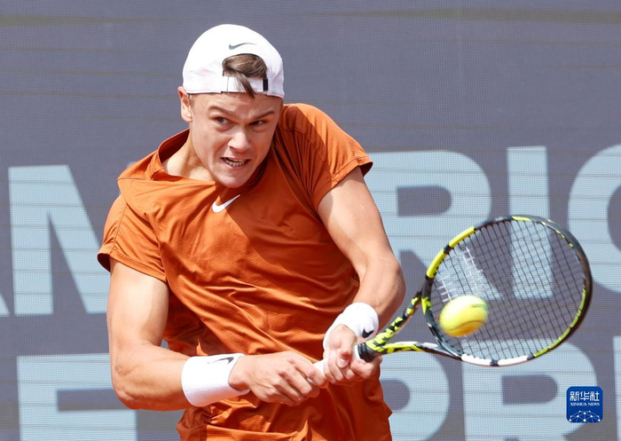 这一决定无 这一决定无